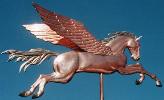 Pegasus
