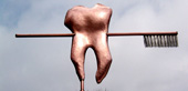Tooth